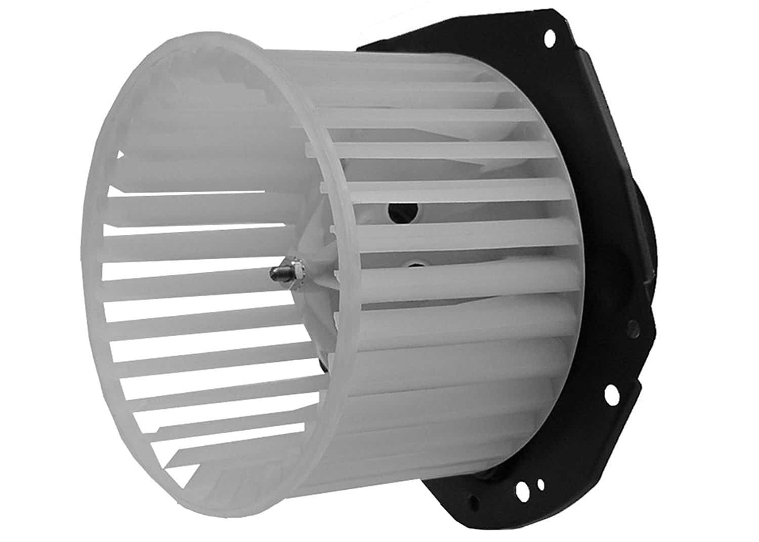 Squirrel cage GM blower motor fan